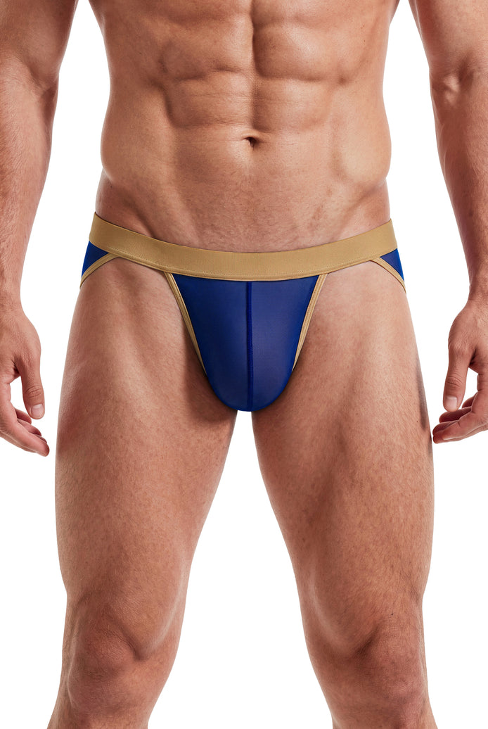 Men's sheer mesh bikini brief with contour pouch, low-rise high cut, blue with gold trim