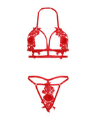 Red appliqued cut-out 2-piece lingerie set, lace bra and thong bottoms (flat lay)