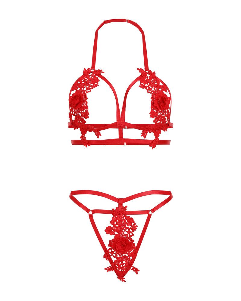 Red appliqued cut-out 2-piece lingerie set, lace bra and thong bottoms (flat lay)