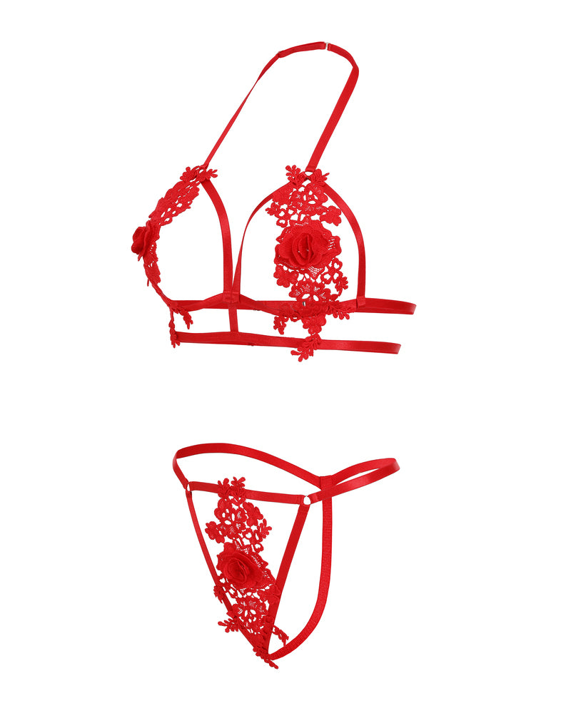 Red appliqued cut-out 2-piece lingerie set with lace bra and thong bottoms (flat lay)