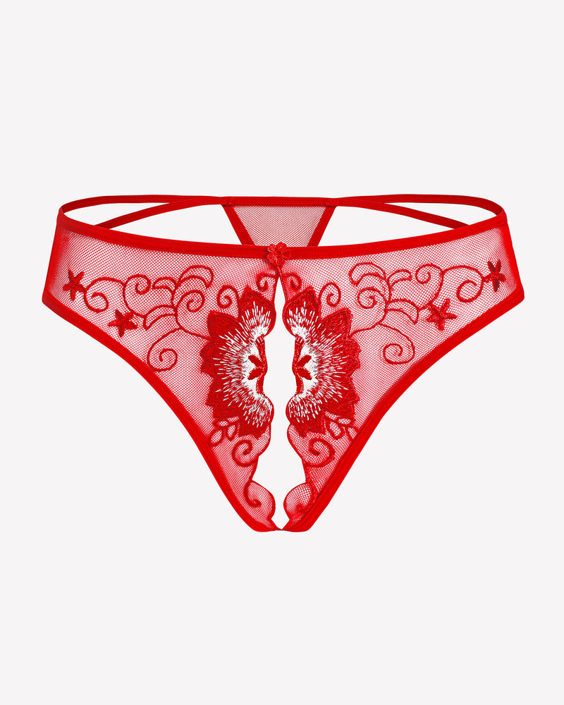 Red mesh thong panty with floral embroidery and scalloped lace trim.