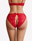 Red floral lace briefs with hollow-out back panel and satin bow