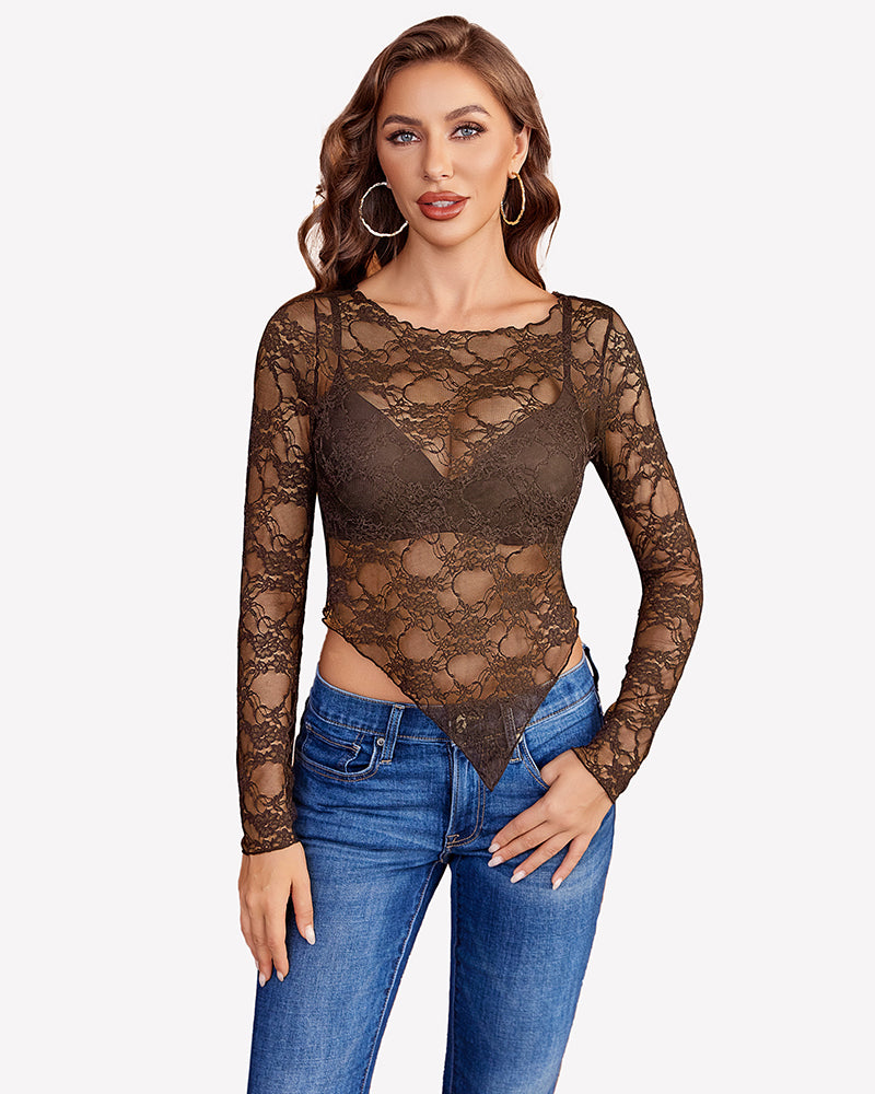 Brown mesh lace long-sleeve top with V neckline and sheer lace overlay