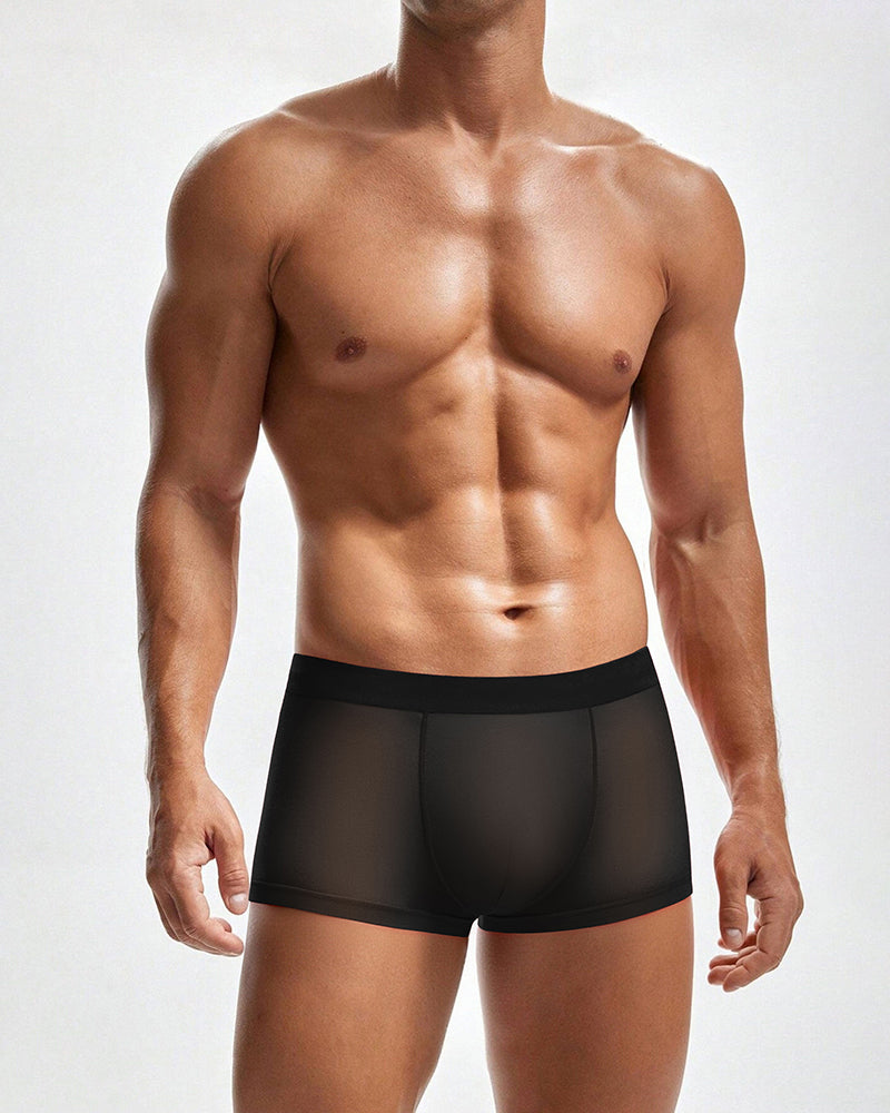 Black sheer mesh boxer briefs worn by a model, low-rise trunk style.