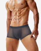Dark gray mesh boxer briefs on model with elastic waistband and contoured pouch.