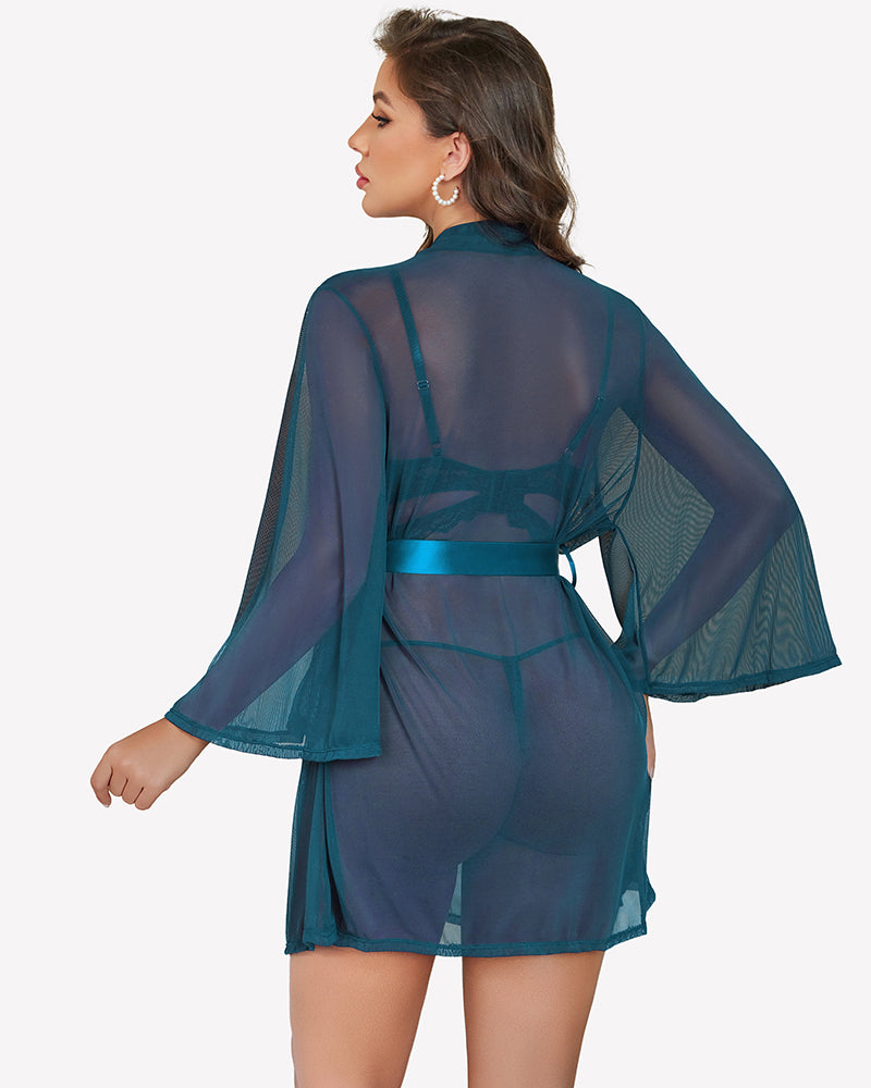 Blue green sheer mesh robe set with lace bra and matching lace thong, back view.