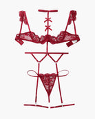 Red lace garter lingerie set with bra, choker, and thong-style bottoms