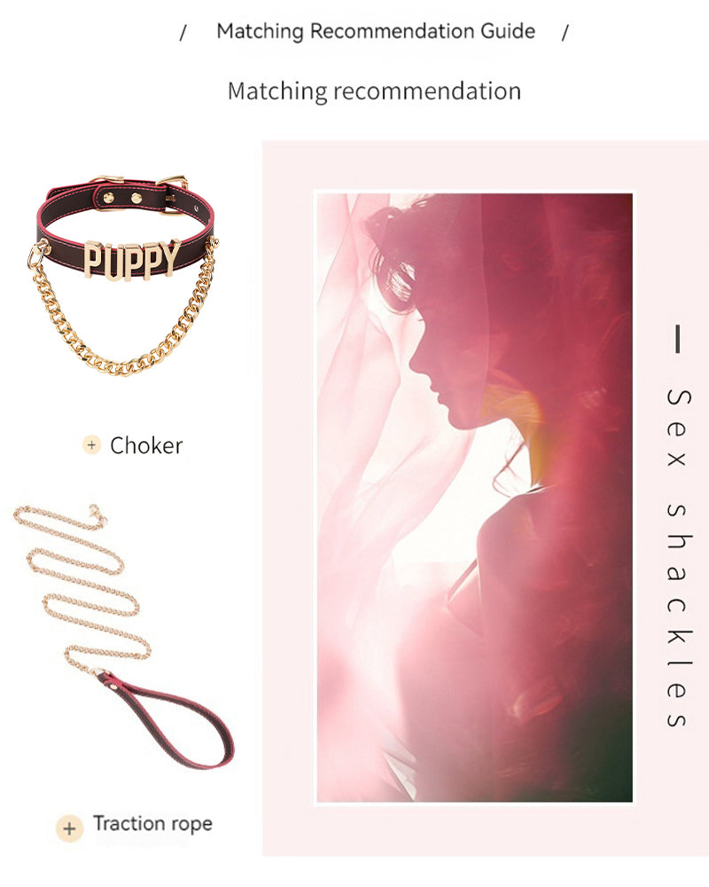 Leather dog choker collar with gold chain and metallic PUPPY letters; includes matching rope
