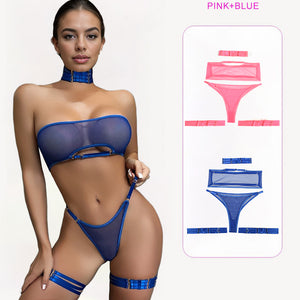 4-piece sheer mesh lingerie set in pink and blue, bandeau bra, thong, and garter straps