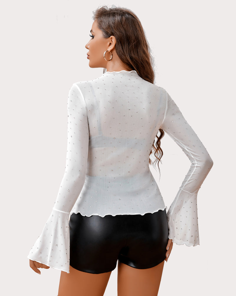 Rhinestone mesh top back view, allover sparkle dots, long flared sleeves, fitted