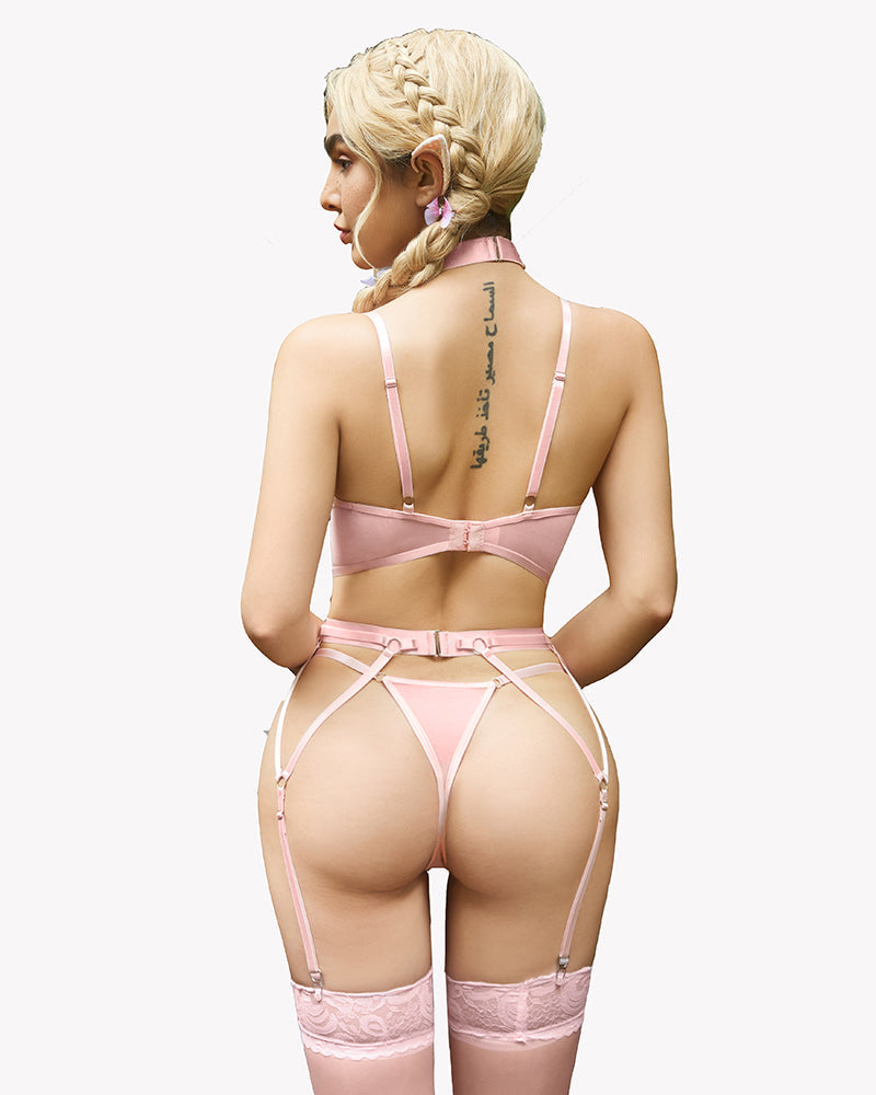 Light pink embroidered lace bra and panty set, back view with adjustable garter straps