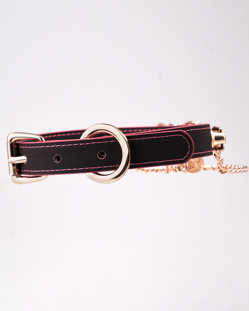 Black leather dog collar with round metal buckle, red stitching, and chain attachment