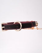 Black leather dog collar with round metal buckle, red stitching, and chain attachment
