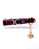 Heart-shaped leather dog collar with gold-tone buckle, metal rings, and bell charm