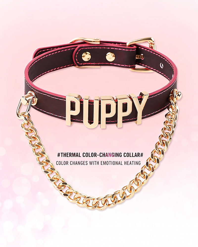 Leather dog collar with gold chain and metallic PUPPY letter front tag