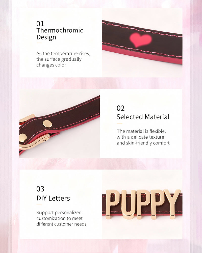 Leather collar strap with red stitching and metallic PUPPY letter panel