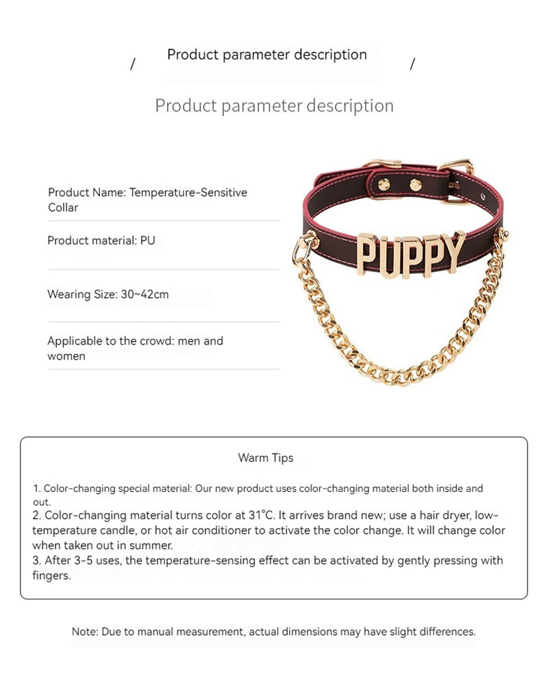 Leather dog collar with gold chain and metallic PUPPY letters, buckle and grommets