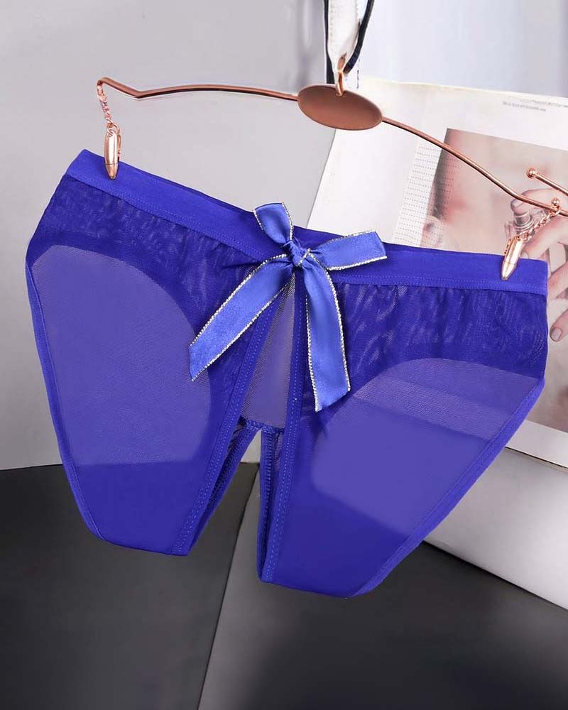 Blue sheer mesh high-cut panties with satin bow and ribbon details at front