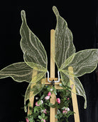 Glitter fairy wings accessory in yellow-green with shimmering, vein-like sparkle lines