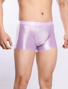 Men Shiny Transparent Boxer Briefs Low Rise U-Convex Pouch